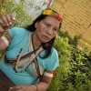 Waoranis alertan de posible aparición de taromenanes
