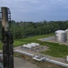 Petróleo y naturaleza, el binomio logrado en la Amazonía que vive momento crucial