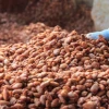 La tonelada de cacao se sitúa en $ 9,150 