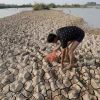 'El Niño' y 'La Niña' alteran el equilibrio de los ecosistemas marinos y la pesca 