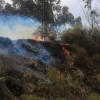 El Gobierno gestiona cooperación internacional para atender incendios