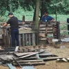 30 gallos y 10 perros abandonados fueron rescatados en Guayaquil