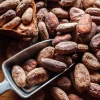 Cacao subió a $ 5.896 por renovada demanda
