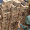 Operativo militar incautó madera en frontera norte