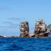 Ecologistas exigen a China que deje de botar basura cerca de las Galápagos 