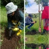 4.500 especies nativas se plantaron por el Día Internacional de los Bosques 