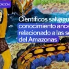 Científicos salvaguardan el conocimiento ancestral de las serpientes amazónicas