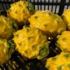 La pitahaya, el primer producto ecuatoriano que se estrena con el TLC con China