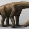 Nuevo fósil de dinosaurio hallado en Napo amplía el registro paleontológico de Ecuador