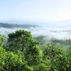 El 78 % de las áreas de explotación de petróleo en la Amazonía aún no inician producción