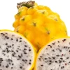 4.779 envíos de pitahaya se han logrado en 2023