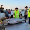 Gobierno impulsa afiliación de pescadores artesanales al Seguro Social Campesino