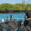 Gobierno crea equipo para la protección de las Galápagos