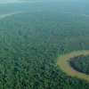 Brasil: Los grupos criminales convirtieron a la Amazonía en la región más peligrosa