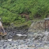 Dique del río Coca tenía garantías vigentes pese a colapso parcial por erosión