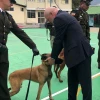 Francia donó 4 perros para el combate al narcotráfico