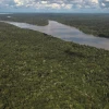 Brasil desforestó un área del tamaño de Israel en 2022