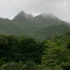Ecuador tiene potencial de recibir $ 1.000 millones al año en mercados de carbono