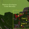 Deforestación por minería se acelera en inmediaciones de la Reserva Cofán-Bermejo