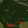 Minería ilegal provoca deforestación en el río Punino