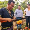 Santa Rita, tierra amazónica del cacao fino de aroma
