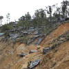 La minería ilegal devastó el bosque de Buenos Aires, en Imbabura