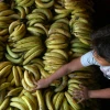 Exportadores monitorean situación comercial con Rusia