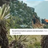 Gobierno de Petro sabía de contaminación y saqueo de oro por minería ilegal en Santurbán
