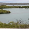Iberoamérica se reunirá en Galápagos para analizar acciones de conservación