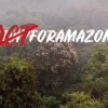 Ecuador envía brigadas de especialistas para mitigar e investigar el incendio en la selva del Amazonas de Brasil 