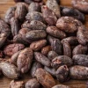 Descuentos internacionales afectan a productores ecuatorianos de cacao 