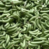 Ecuador, primer exportador mundial de banano, abre 2025 con incremento del 2,43 %