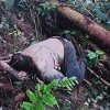 El Ejército halló los cuerpos de 2 miembros de los Comandos de la Frontera