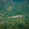 Solaris Resources estima en US$4.600 millones el valor del proyecto Warintza 