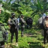 Morona: 5 niños y 1 adolescente fueron rescatados en la selva