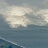 Fuerte terremoto en Japón activa alerta de tsunami y provoca evacuaciones masivas