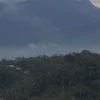 Ecuador perdió 33.000 hectáreas de bosque natural en 2025, según Global Forest Watch