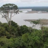 La Usaid lanzó su mayor proyecto, Sacha, para la Amazonía ecuatoriana
