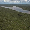 La deforestación, tema central de la Cumbre de la Amazonía