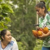 Con café y cacao, Ecuador es pionero mundial en la producción libre de deforestación