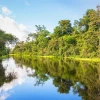 Ecuador reconoce el corredor ecológico Yasuní-Limoncocha-Cuyabeno en la Amazonía