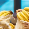 Ecuador es líder en exportaciones de banano orgánico hacia la Unión Europea