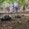 Galápagos rompió récord en marzo con 32.509 turistas