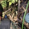 Ecuador participó en conversatorio sobre desminado en la frontera con Perú
