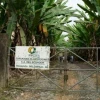 Corte llama a juicio a Furukawa, compañía agrícola, acusada de esclavitud moderna