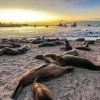 Galápagos impulsa su transición hacia una economía azul sostenible