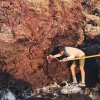 Galápagos: Censo de pingüinos sugiere una bajada en su reproducción