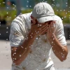Agencia científica de la ONU confirma que la semana pasada rompió récord global de calor