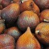 El salak es muy popular entre los habitantes de la región amazónica