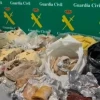 Decomisan cuy y fármacos en vuelos desde Ecuador y China